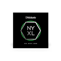 D`ADDARIO NYNW020