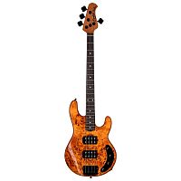 STERLING StingRay HH Poplar Burl Top Amber