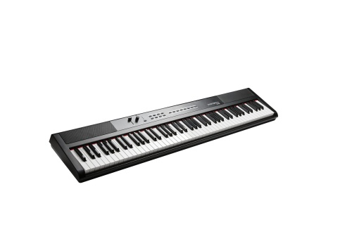 KURZWEIL KA50 LB фото 3