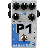 AMT P-1 Legend Amps